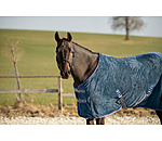 Wicking Rug Sitka
