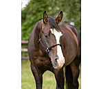 Hybrid Knot Rope Halter