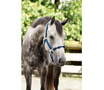 Hybrid Knot Rope Halter