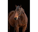 Headstall Leaves