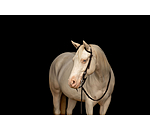 Two Ear Headstall Leaves