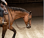Two Ear Headstall Leaves