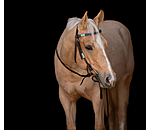 Headstall Tallulah