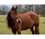 Headcollar Sumailla