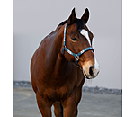 Headcollar Sumailla