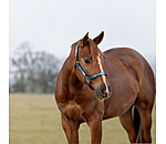 Headcollar Sumailla