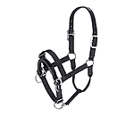 Training Headcollar Dual-Mode