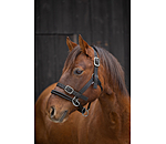 Training Headcollar Dual-Mode