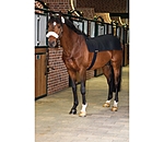 Horseback Warmer Royal