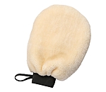 Teddy Fleece Grooming Mitt