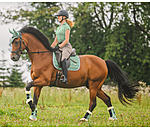 Saddle Pad Essential