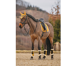 Saddle Pad Essential