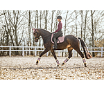 Saddle Pad Essential