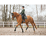 Saddle Pad Sparkling II