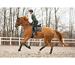 Saddle Pad Sparkling II