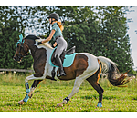 Cotton Saddle Pad Basic Deluxe