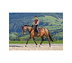 Cotton Saddle Pad Basic Deluxe