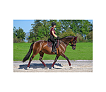 Cotton Saddle Pad Basic Deluxe