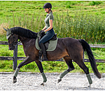 Saddle Pad Glitter Explosion