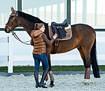 Teddy Fleece Saddle Pad Knitted Collection