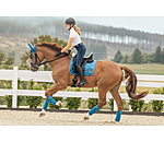 Saddle Pad Equestrian Sports