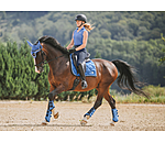 Saddle Pad Swiss Design