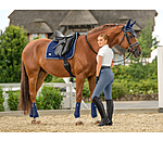 Saddle Pad Swiss Design