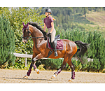 Saddle Pad Swiss Design