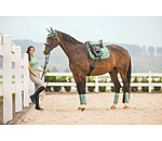 Saddle Pad Essential Standard