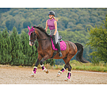 Saddle Pad Essential Standard