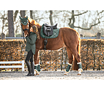 Saddle Pad Essential Standard