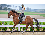 Saddle Pad Astro