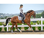 Saddle Pad Astro