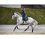 Saddle Pad Astro