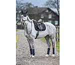 Saddle Pad Astro