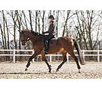 Saddle Pad Brilliant