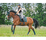 Saddle Pad Brilliant