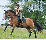 Saddle Pad Brilliant