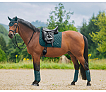 Saddle Pad Brilliant