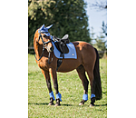 Saddle Pad Sophistication Regular