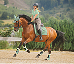 Saddle Pad Sophistication Strapless