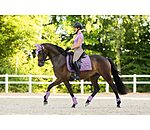 Saddle Pad Sophistication Strapless