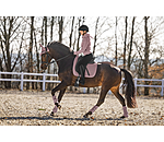 Saddle Pad Glitter