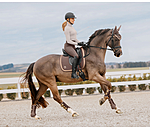Saddle Pad Glitter