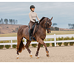 Saddle Pad Glitter