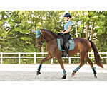 Saddle Pad Mesh Technology