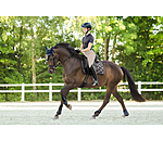 Saddle Pad Signature III