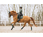 Saddle Pad Glitter Stone