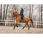 Saddle Pad Velvet