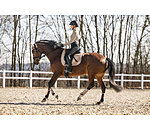 Teddy Saddle Pad